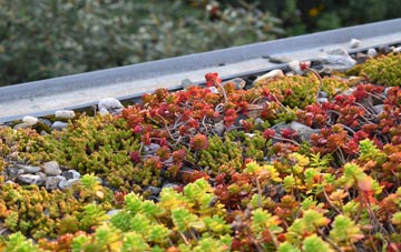 the cost of Cramond Bridge green roof installation