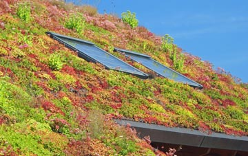Cramond Bridge living roof systems