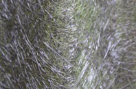 Cramond Bridge fibreglass roof work